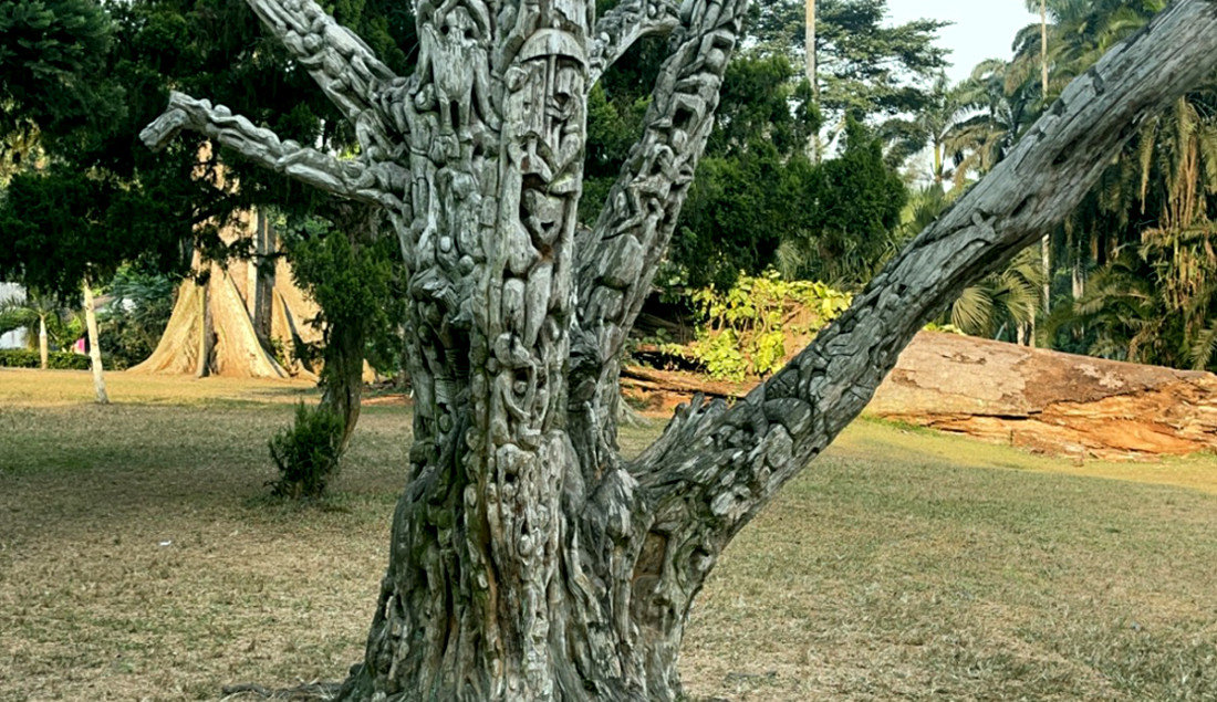 Aburi: Explore Nature, Culture, and Adventure with Surunku Experiential Tours!