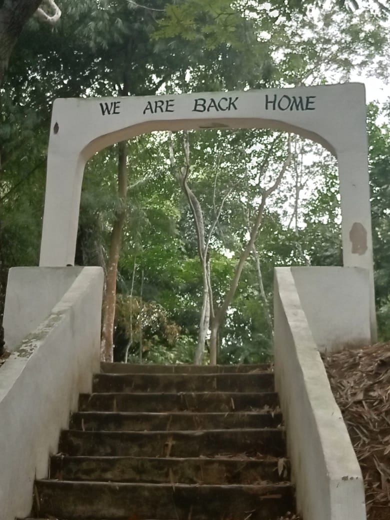 Assin Manso: A Powerful Journey into Africa’s Dark Past and Resilient Spirit